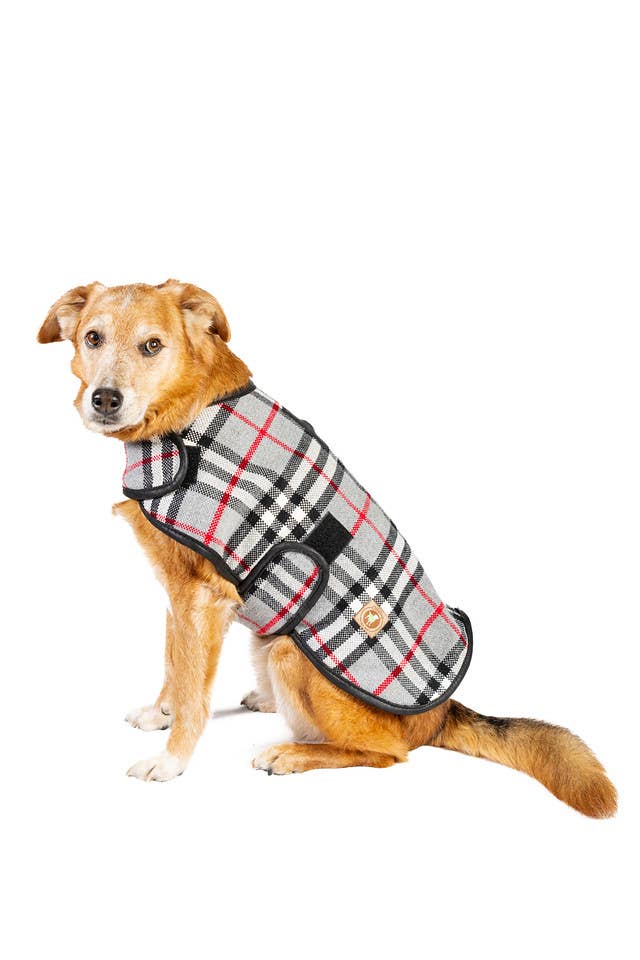 Chilly Dog - Steel Tartan Plaid Dog Coat