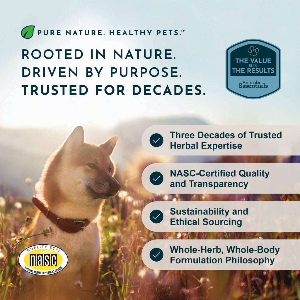 Seasonal Allergy Herbal Soft Chews | Herbal Allergy Support Formula | 60 Count