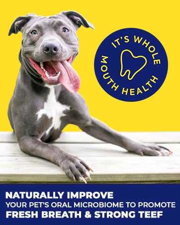 Protektin42K: Prebiotic Dental Powder for all pets