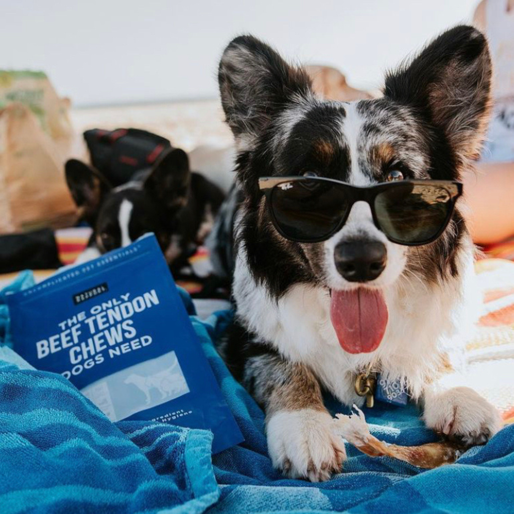 The Only Beef Tendon Chews Dogs Need