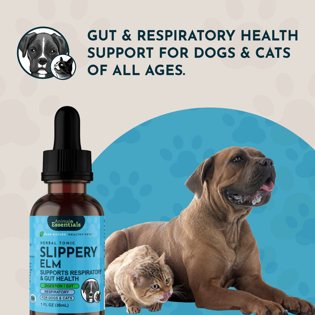 Slippery Elm Herbal Tonic | Supports Gut Health & Respiration