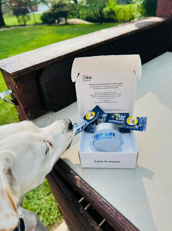 Protektin42K: Prebiotic Dental Powder for all pets