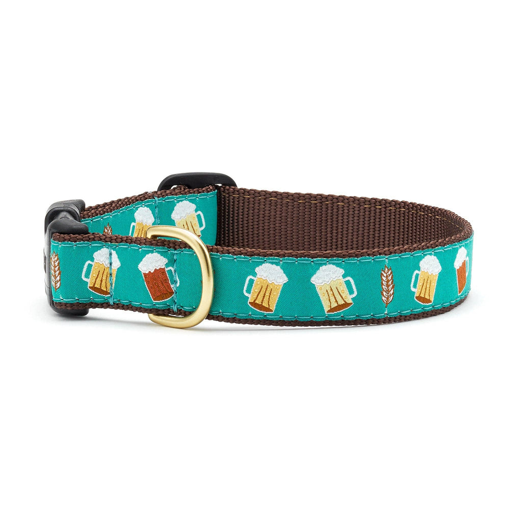 Up Country Beer Dog Collar - Teal
