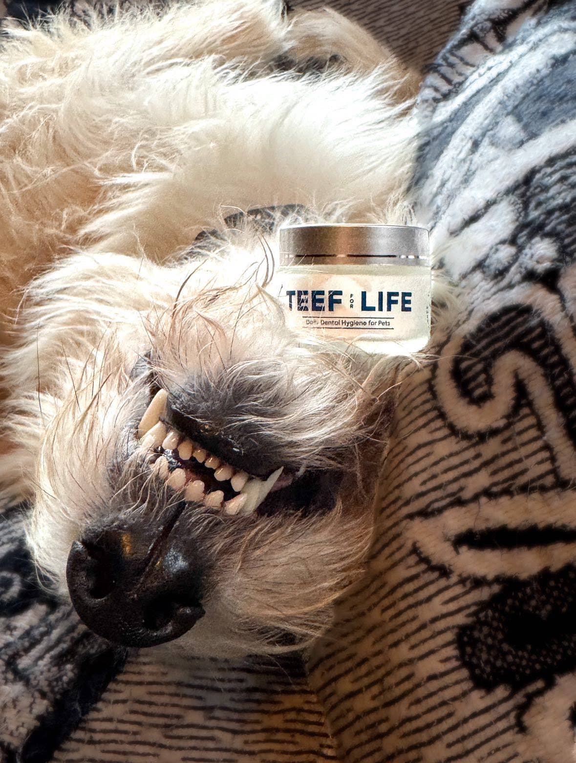 Protektin42K: Prebiotic Dental Powder for all pets