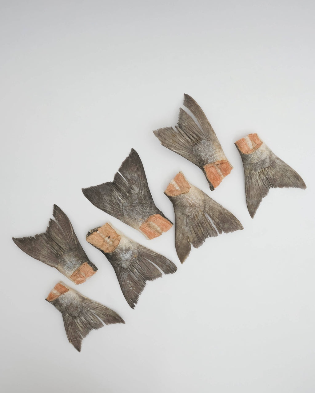 Amica Science Wild Salmon Tails