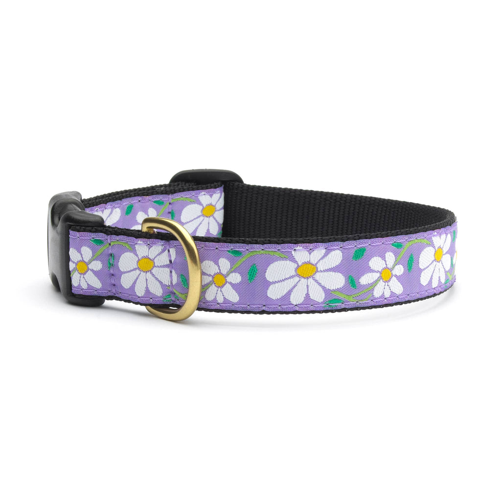 Up Country Daisy Dog Buckle Collar