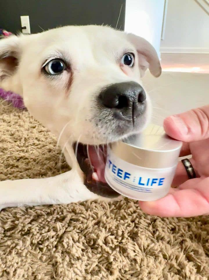 Protektin42K: Prebiotic Dental Powder for all pets