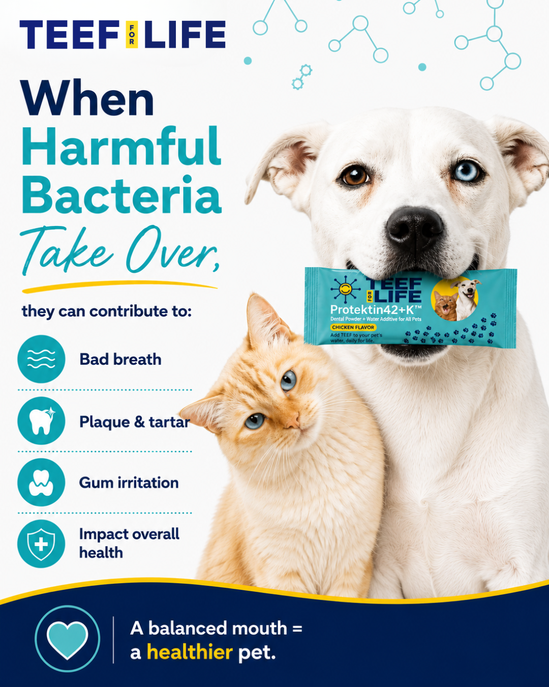 Refill Powder Packet Protektin42K - All Pets Dental Powder