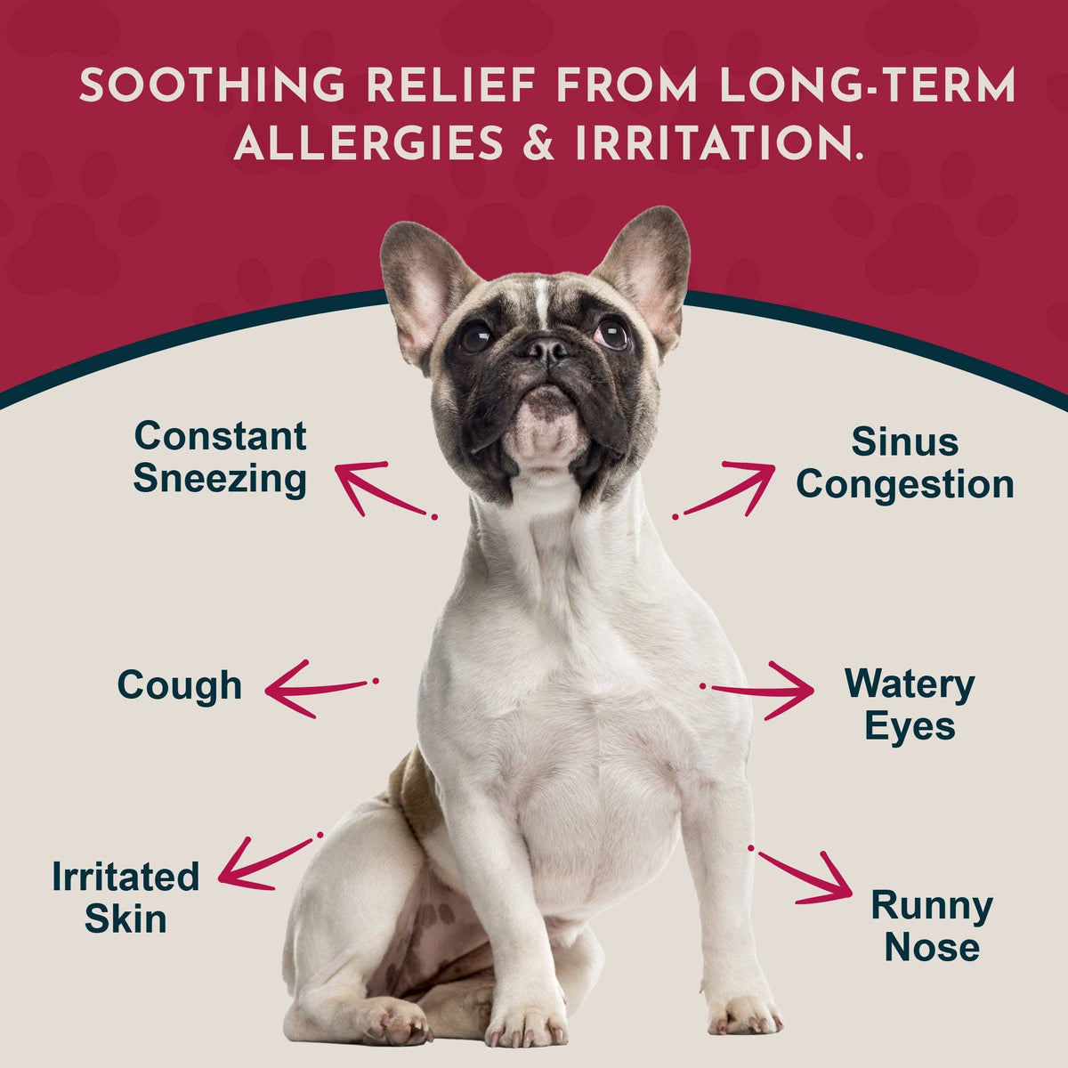 Seasonal Allergy Powder + Quercetin | Allergy Support
