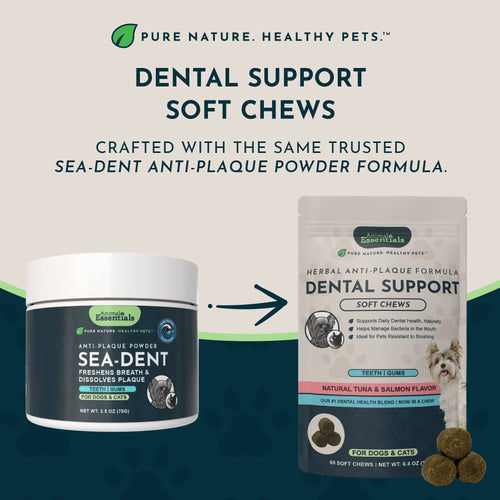 (Sea-dent) Dental Support Herbal Soft Chews | Herbal Anti-Plaque Formula | 60 Count