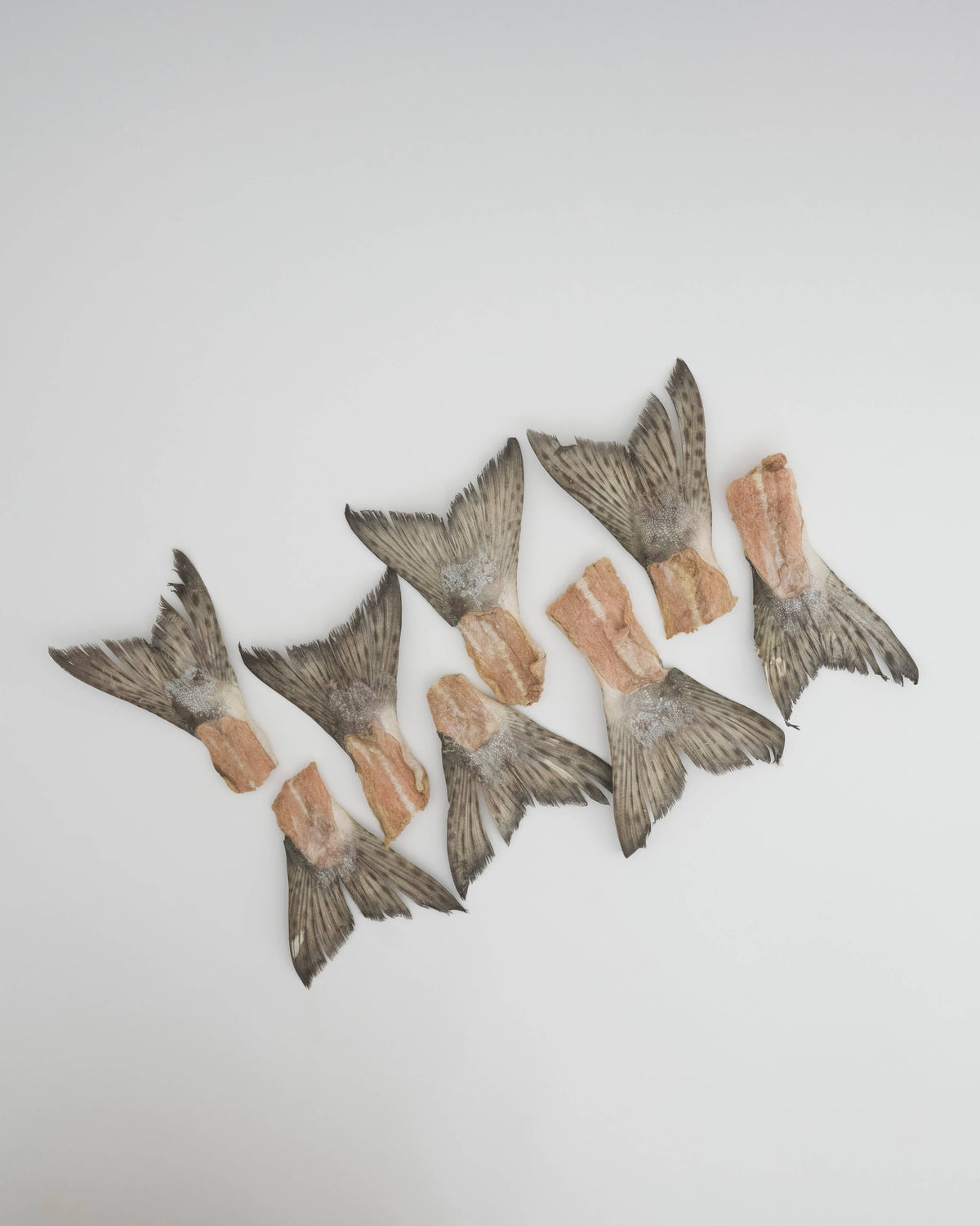 Amica Science Wild Salmon Tails