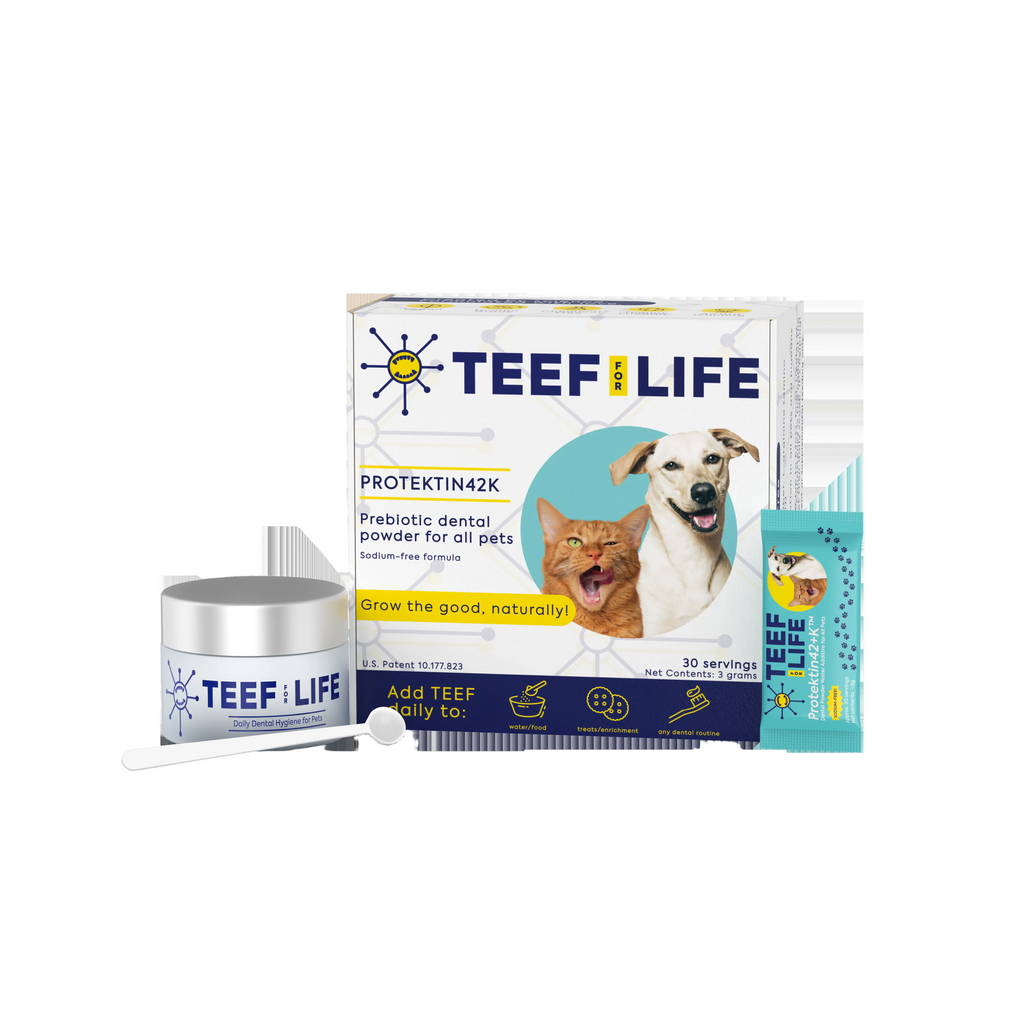 Protektin42K: Prebiotic Dental Powder for all pets