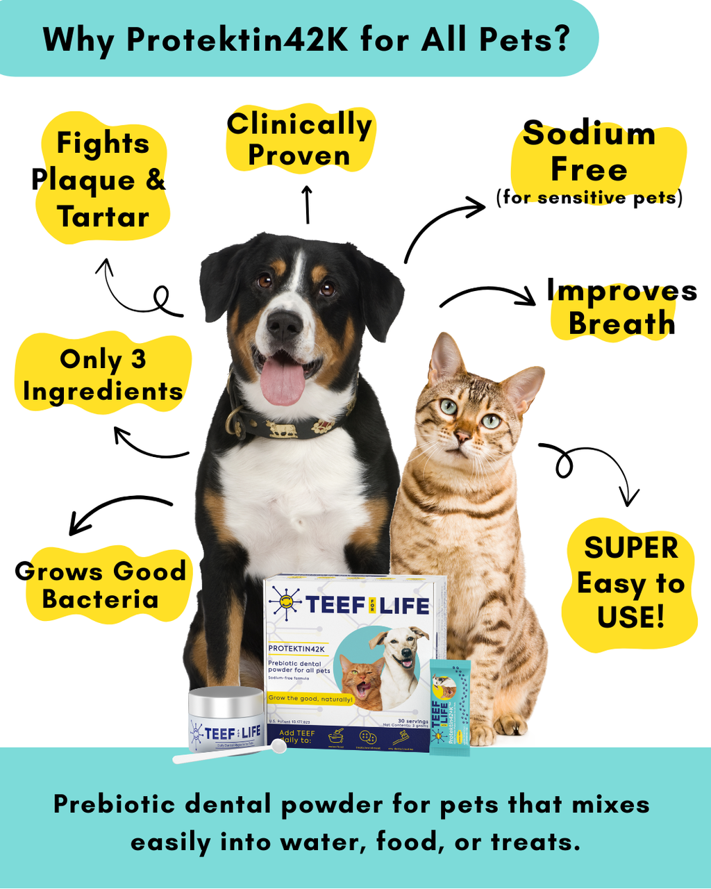 Protektin42K: Prebiotic Dental Powder for all pets