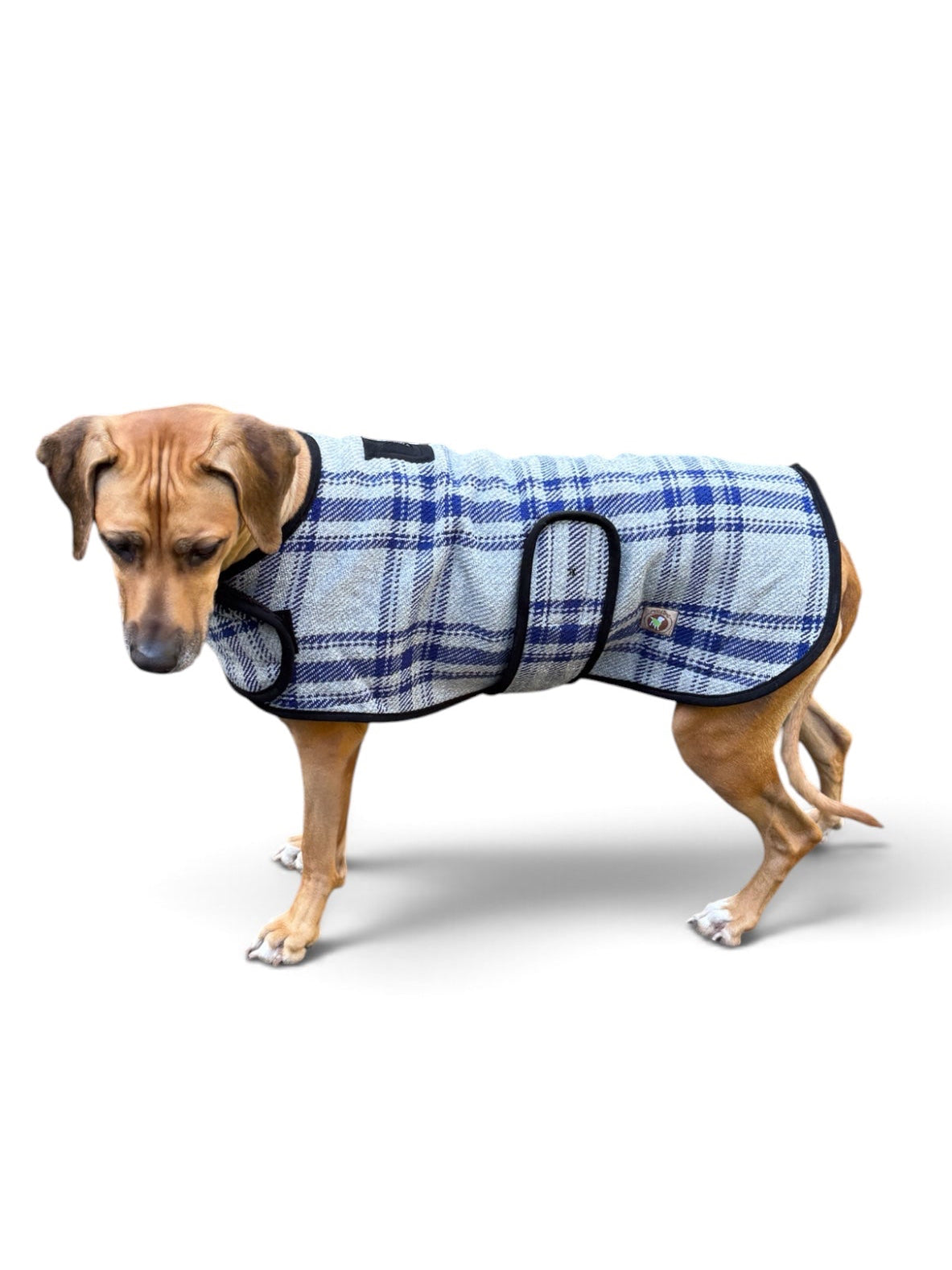 Chill Dog Gray and Blue Plaid Dog Blanket Coat