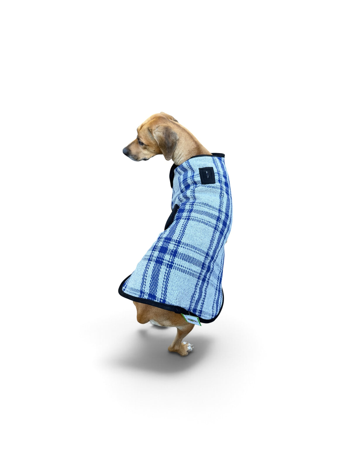 Chill Dog Gray and Blue Plaid Dog Blanket Coat