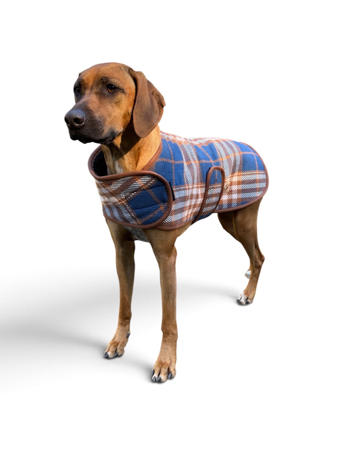 Chilly Dog Western Plaid Dog Coat - Blue/Brown