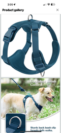 Sunraymascota Mesh Dog Harness -XS - Prussian Blue