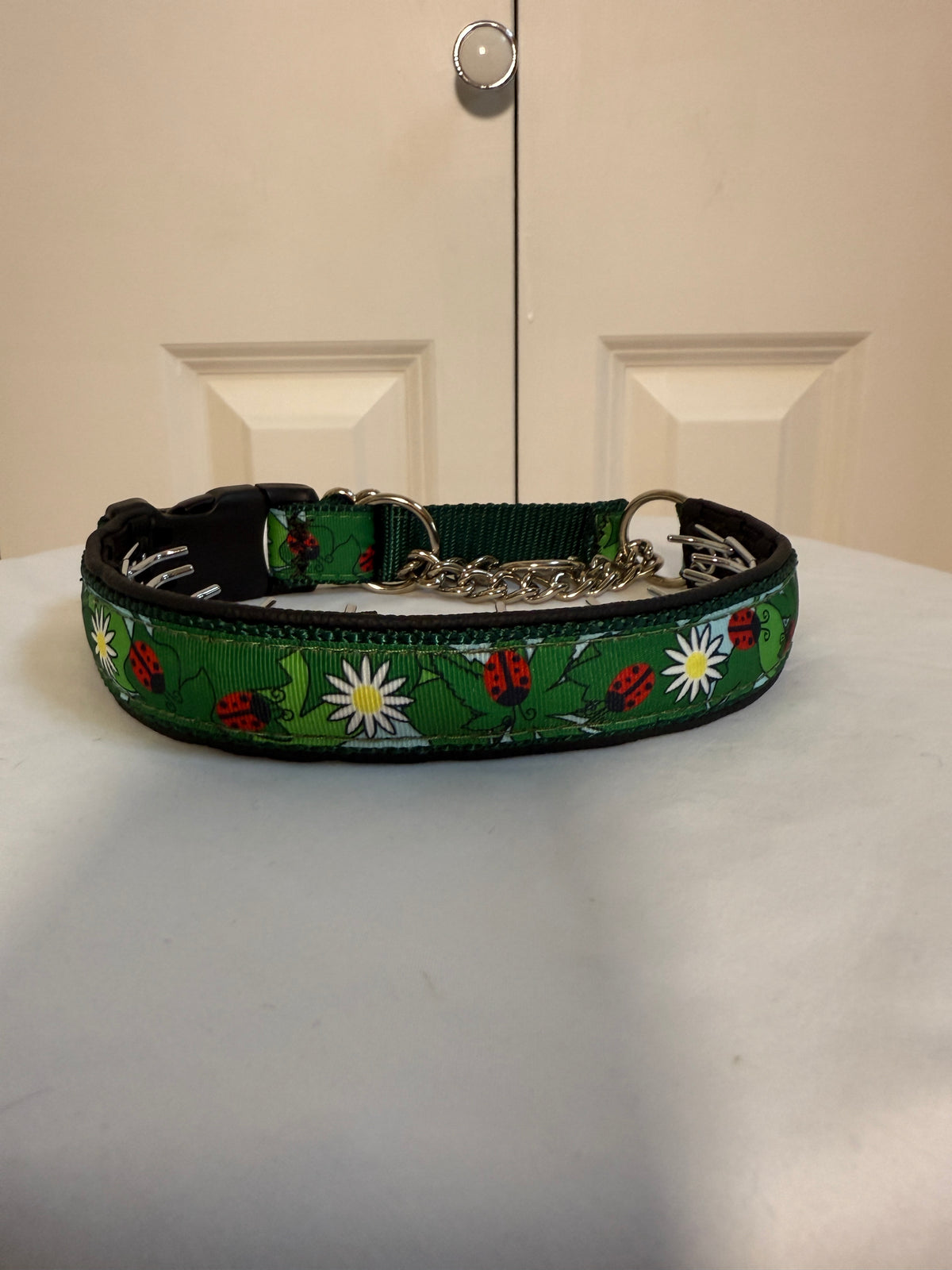 Prong Collar - Never Used - Large / X-Large