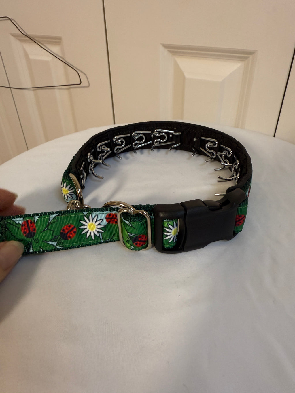 Prong Collar - Never Used - Large / X-Large