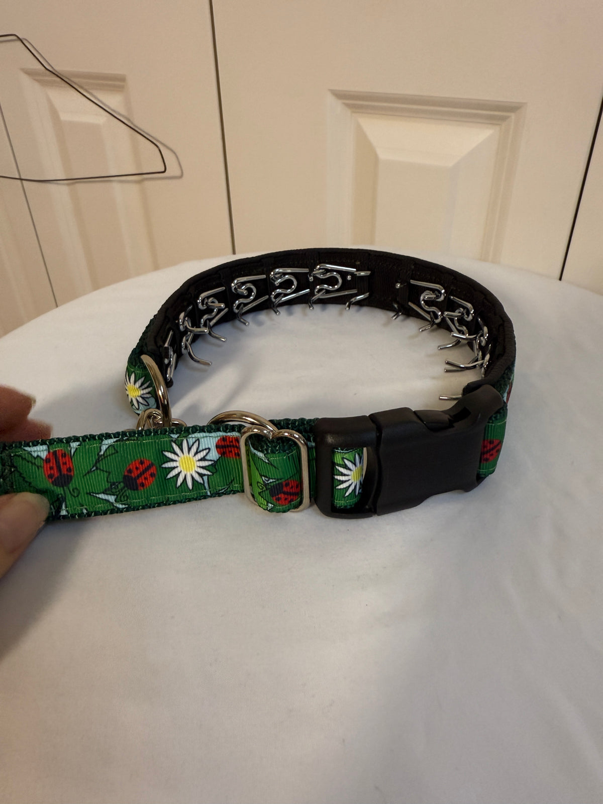 Prong Collar - Never Used - Large / X-Large