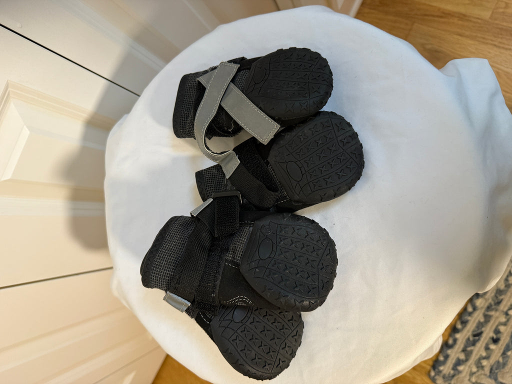 HC Pet Booties - Gently Used