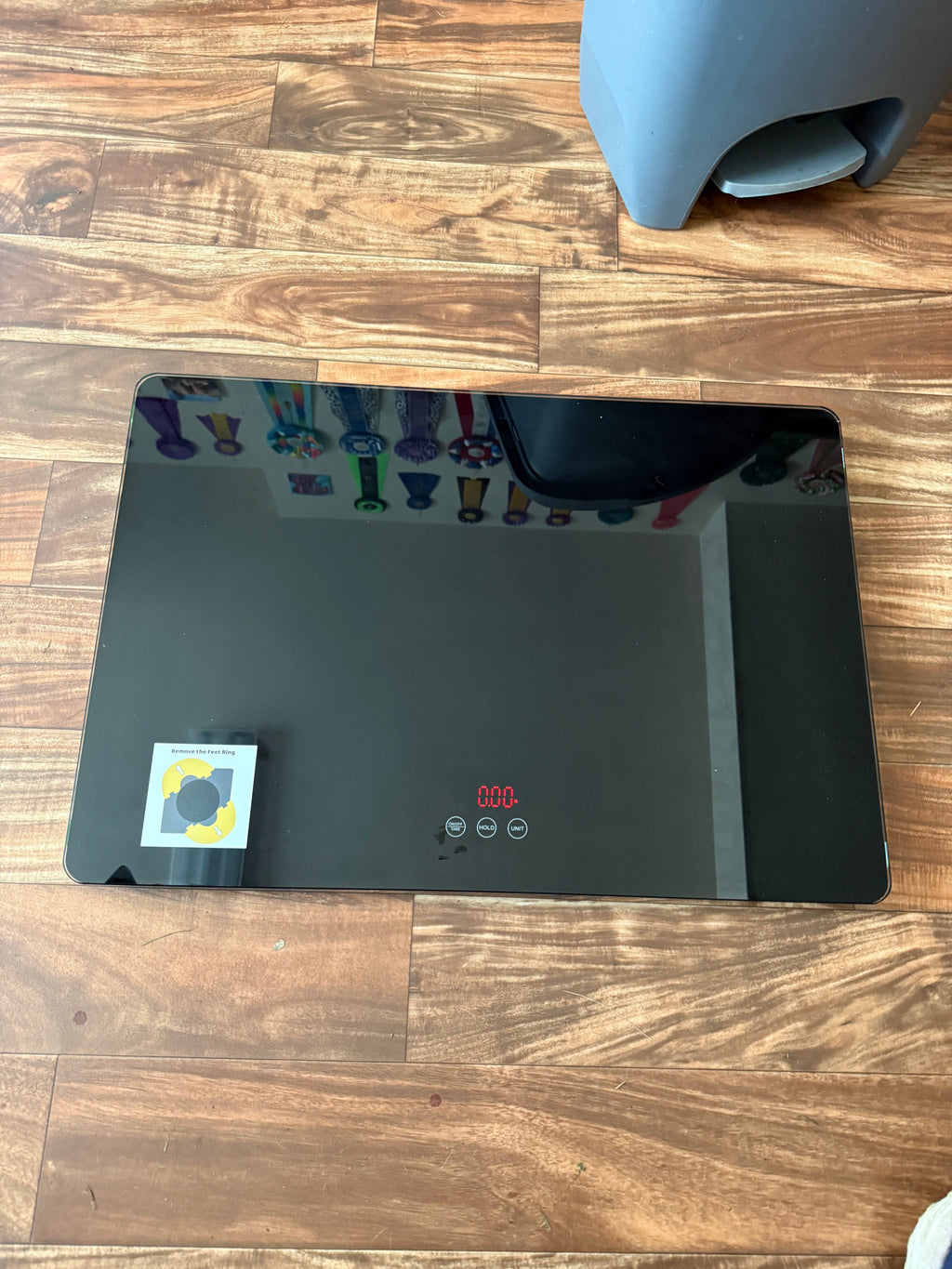 Digital Pet Scale - Up to 220 lbs