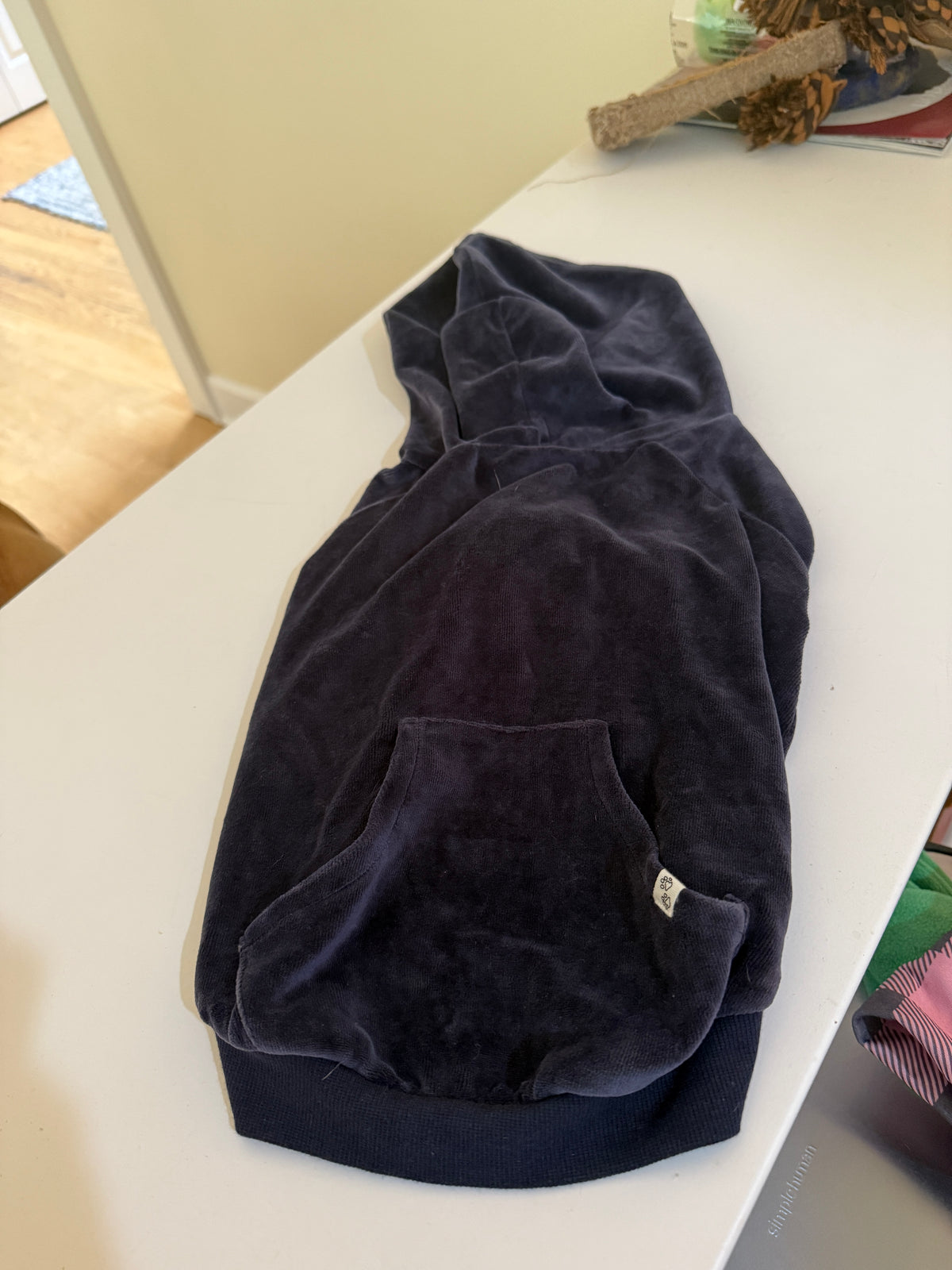 Pet Passion Cooper II Organic Cotton Velour Dog Hoodie Pet Coat for Small/Medium (20-45 lbs) - Navy