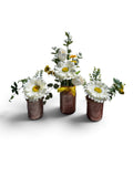 Three small copper-colored flower pots arranged together on a white background, each filled with white daisies, green foliage, and small yellow wildflowers. The center pot has a yellow ribbon tied around the neck.