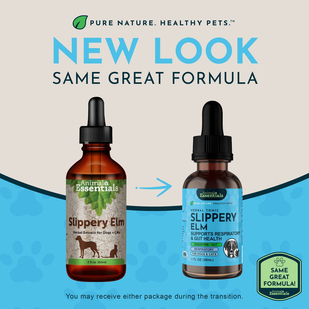 Slippery Elm Herbal Tonic | Supports Gut Health & Respiration