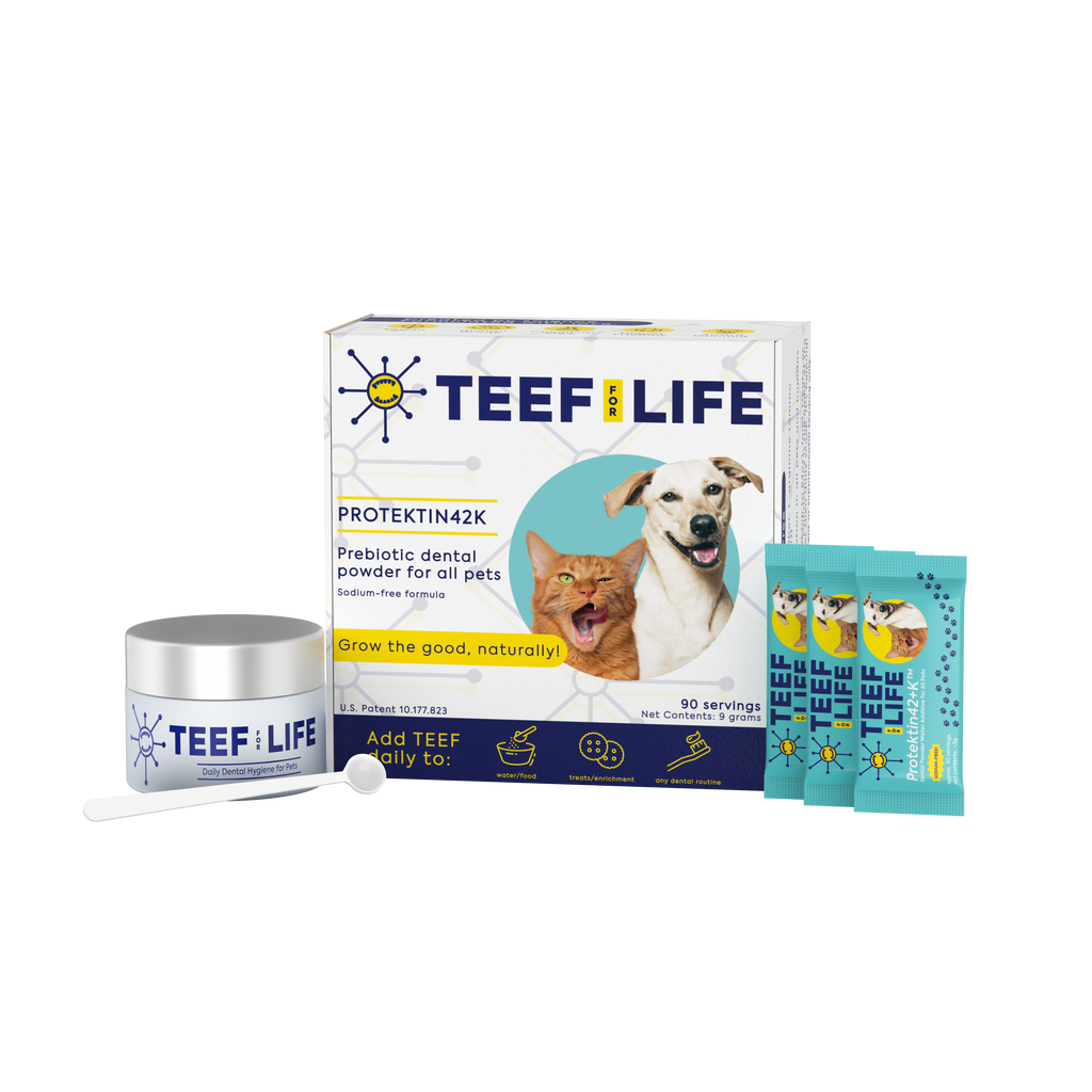 Protektin42K: Prebiotic Dental Powder for all pets