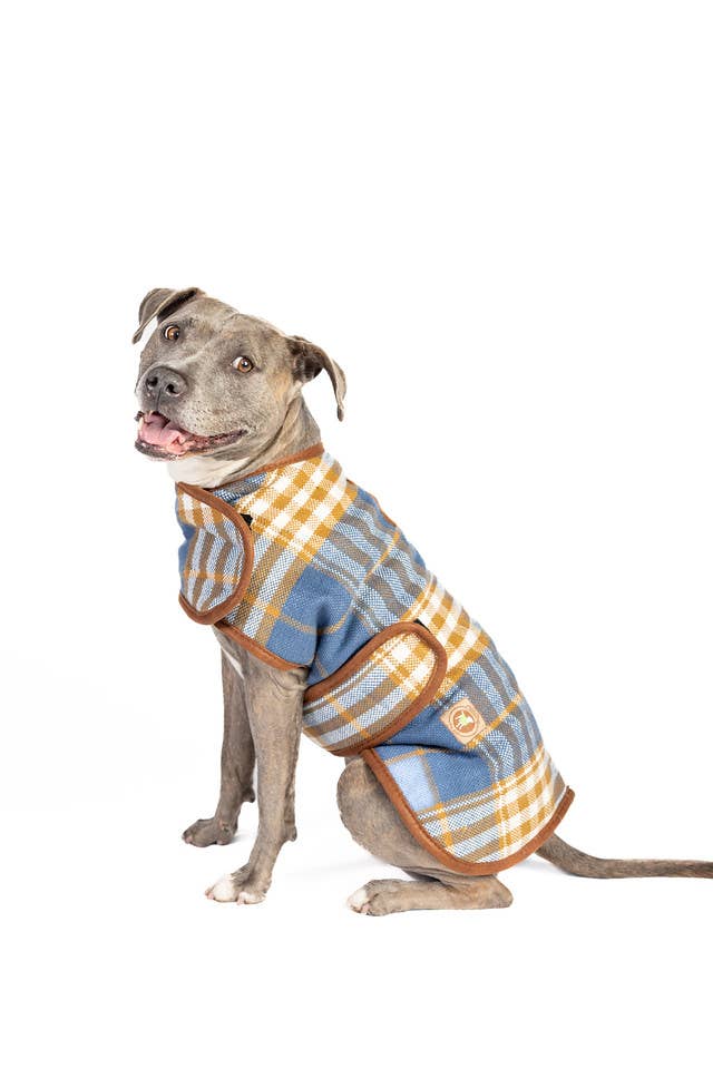 Chilly Dog Western Plaid Dog Coat - Blue/Brown