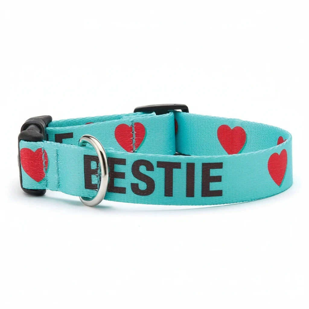 Barking Gardener Bestie dog collar in turquoise with red heart print and durable brass hardware