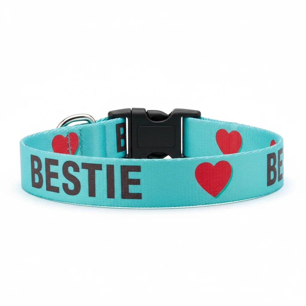 Barking Gardener Bestie dog collar in turquoise with red heart print and black text on durable webbing