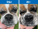 Barking Gardener earthbath treatment balm showing before and after results on a dog's dry, cracked nose.