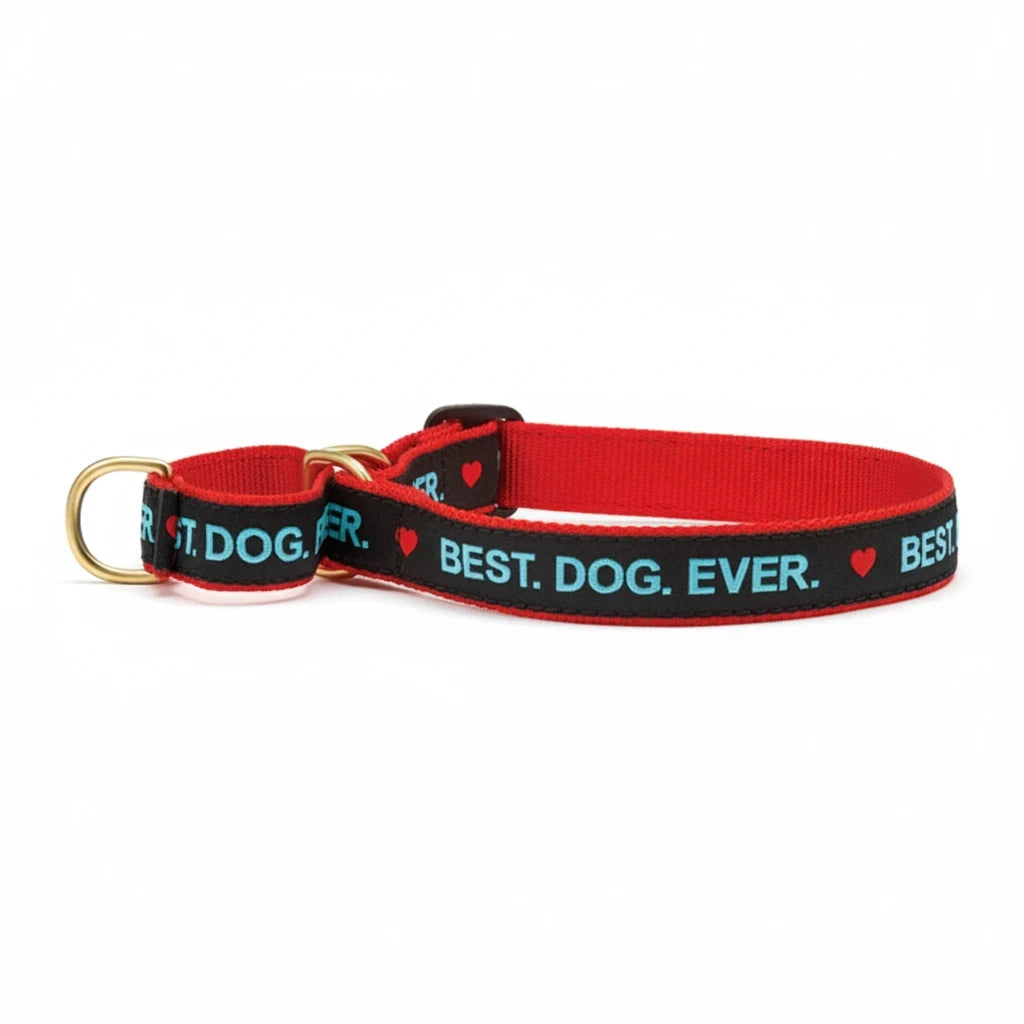 Barking Gardener red and black nylon martingale dog collar with Best Dog Ever text and gold hardware