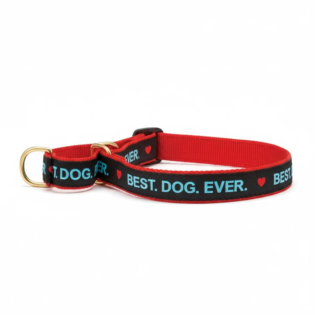 Barking Gardener red and black nylon martingale dog collar with gold hardware and Best Dog Ever text and heart print
