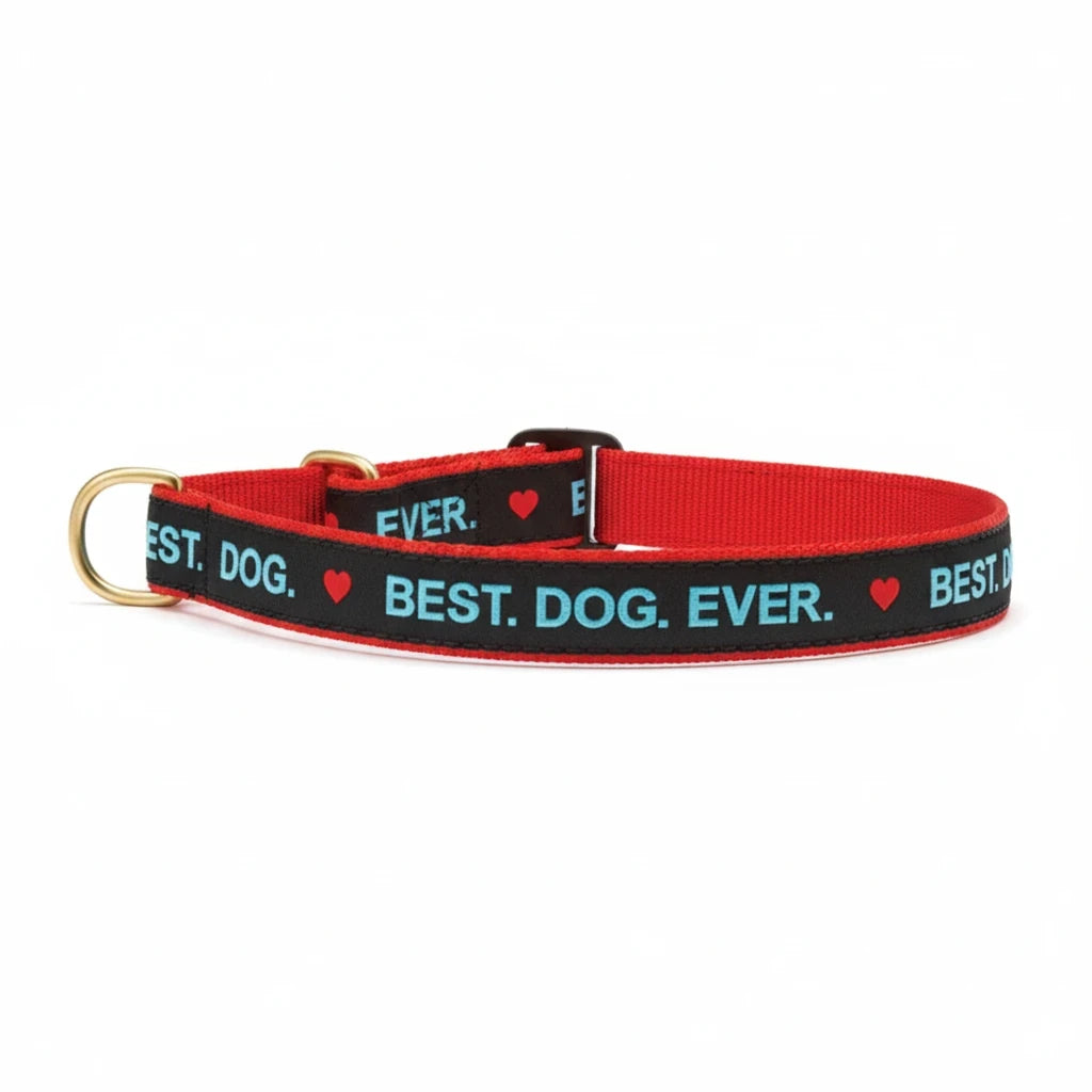 Barking Gardener red and black nylon martingale dog collar with Best Dog Ever text and gold hardware