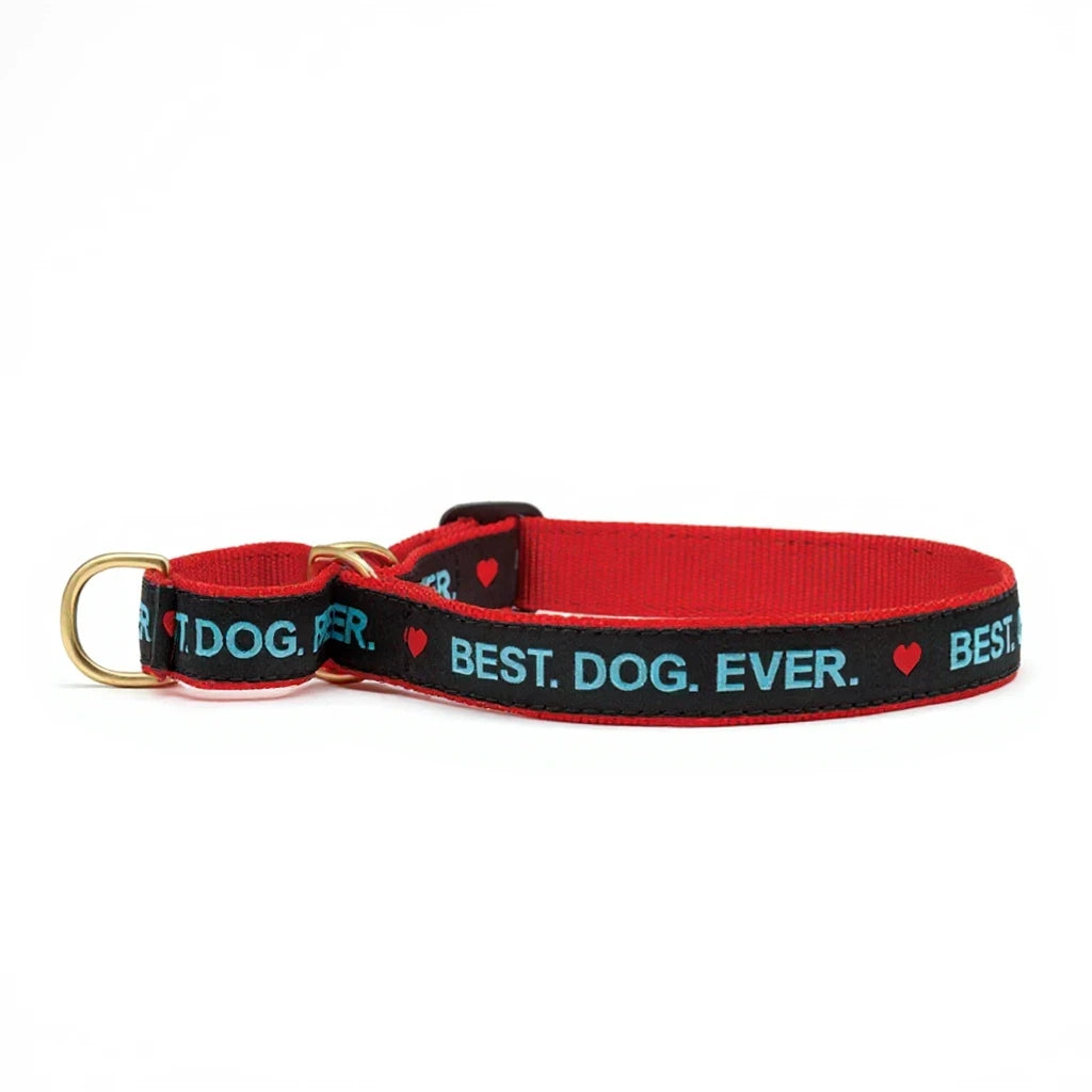 Barking Gardener red and black nylon martingale dog collar with gold hardware and Best Dog Ever text print