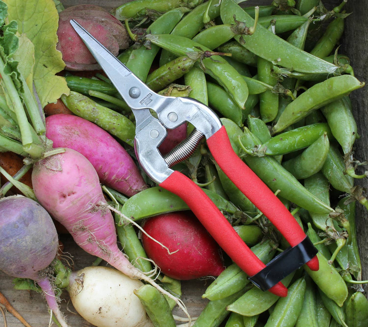 Barking Gardener compact stainless steel pruning shears with red handles resting on a bed of fresh peas and radishes.