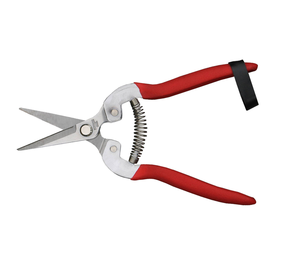 Barking Gardener compact pruning shears with stainless steel needle nose blades and red handles with a black strap.