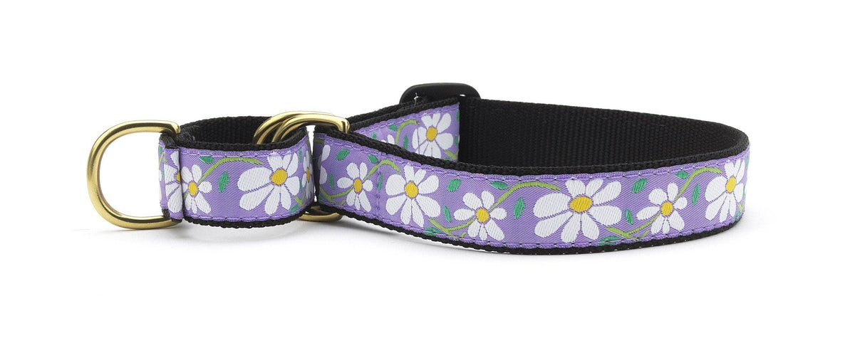 Up Country Daisy Martingale Dog Collar