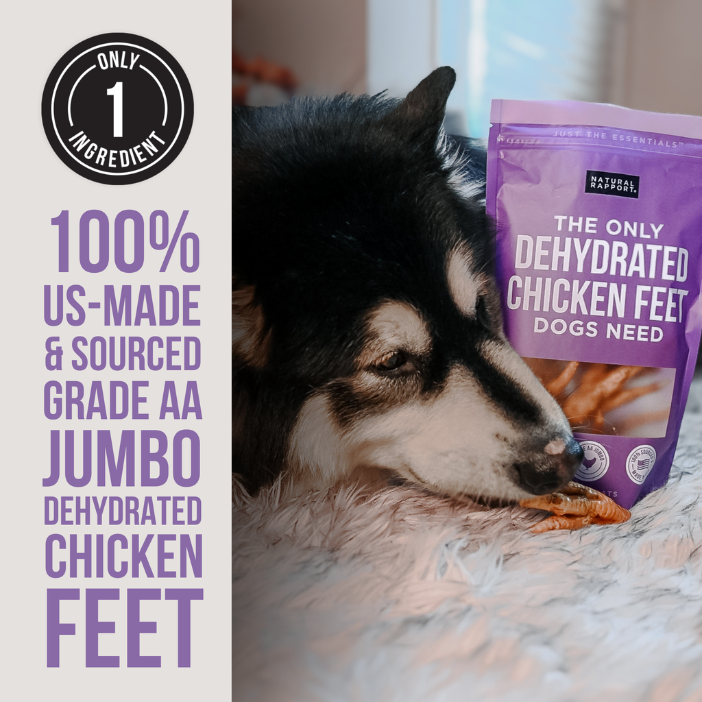 The Only Dehydrated Chicken Feet Dogs Need