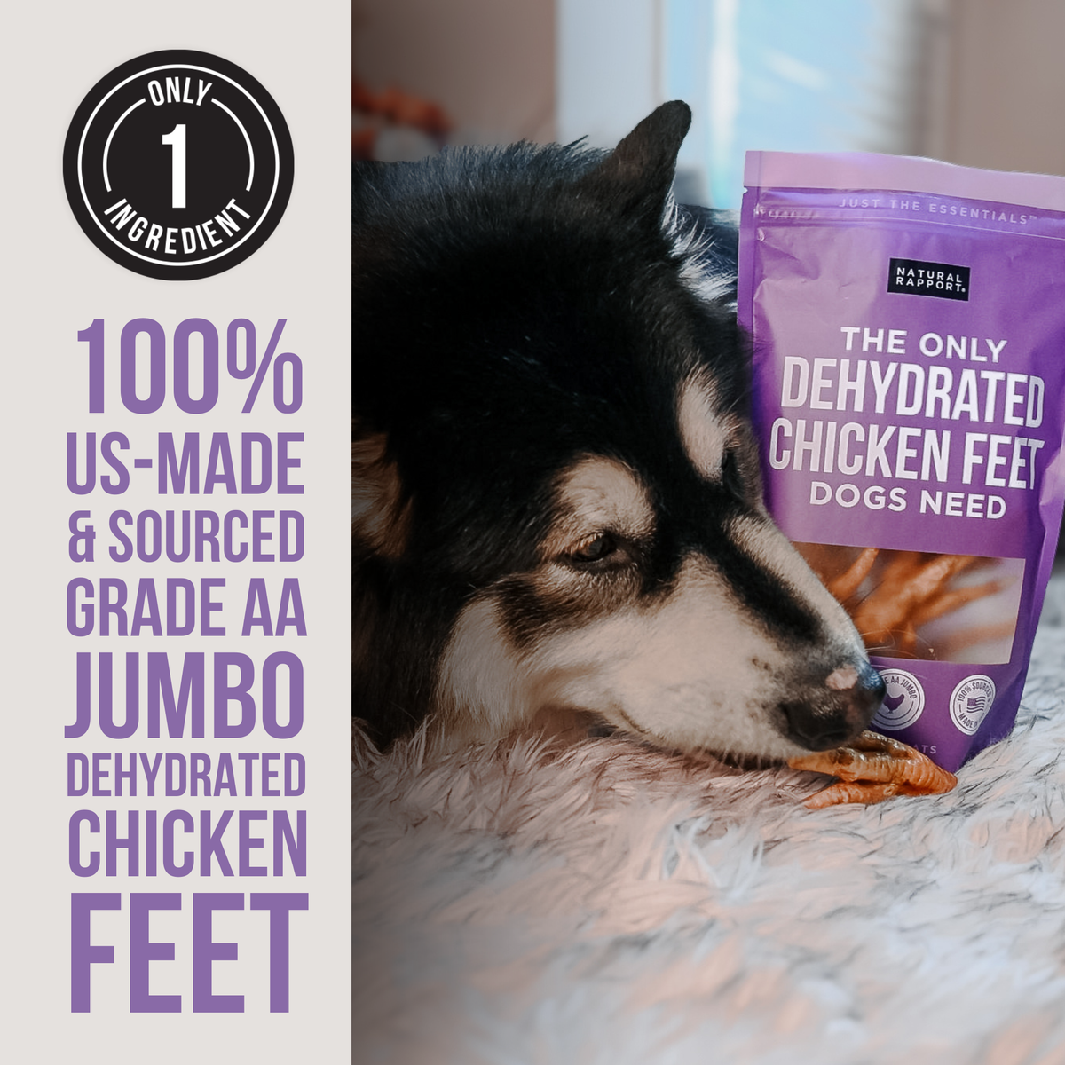 The Only Dehydrated Chicken Feet Dogs Need