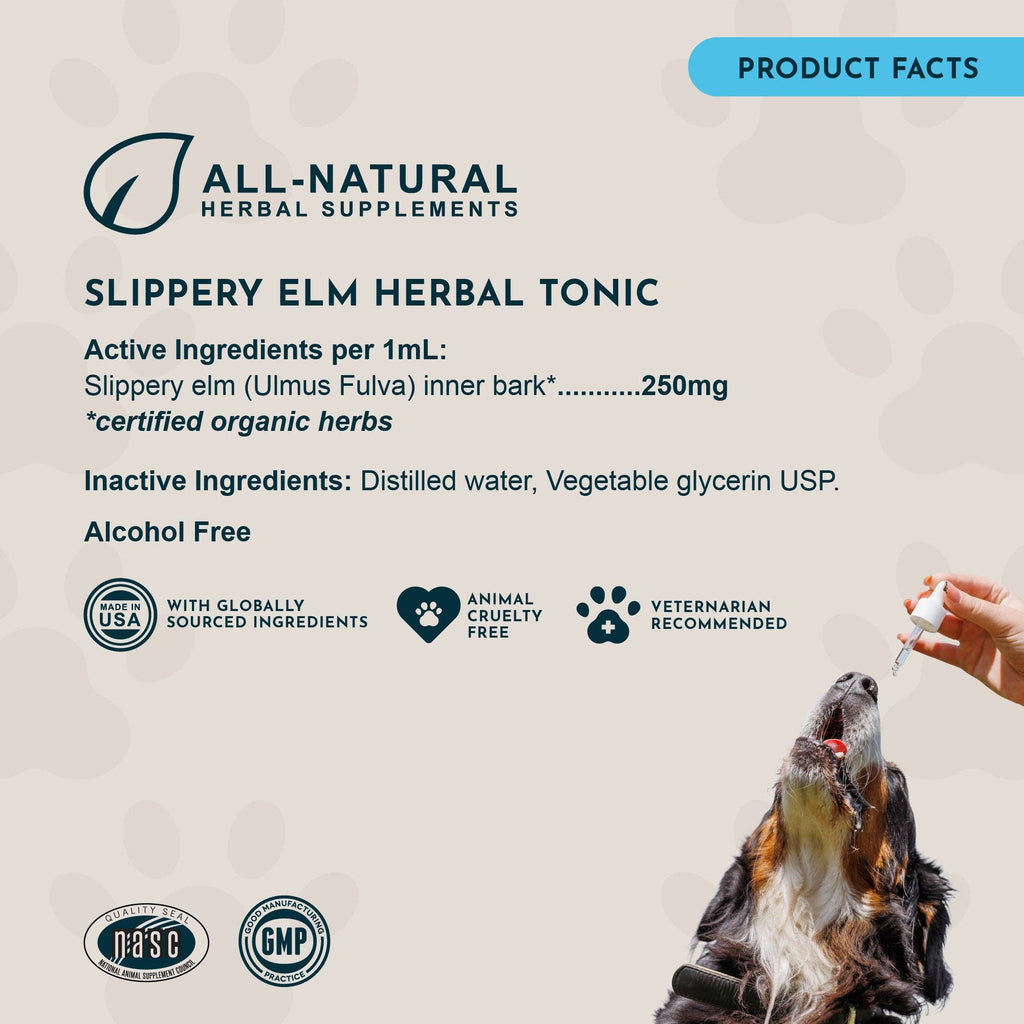 Slippery Elm Herbal Tonic | Supports Gut Health & Respiration