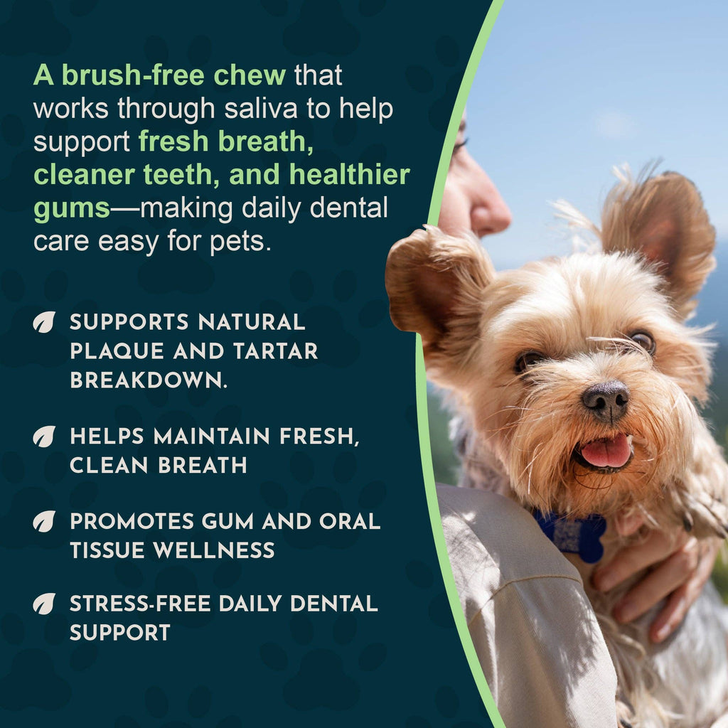 (Sea-dent) Dental Support Herbal Soft Chews | Herbal Anti-Plaque Formula | 60 Count