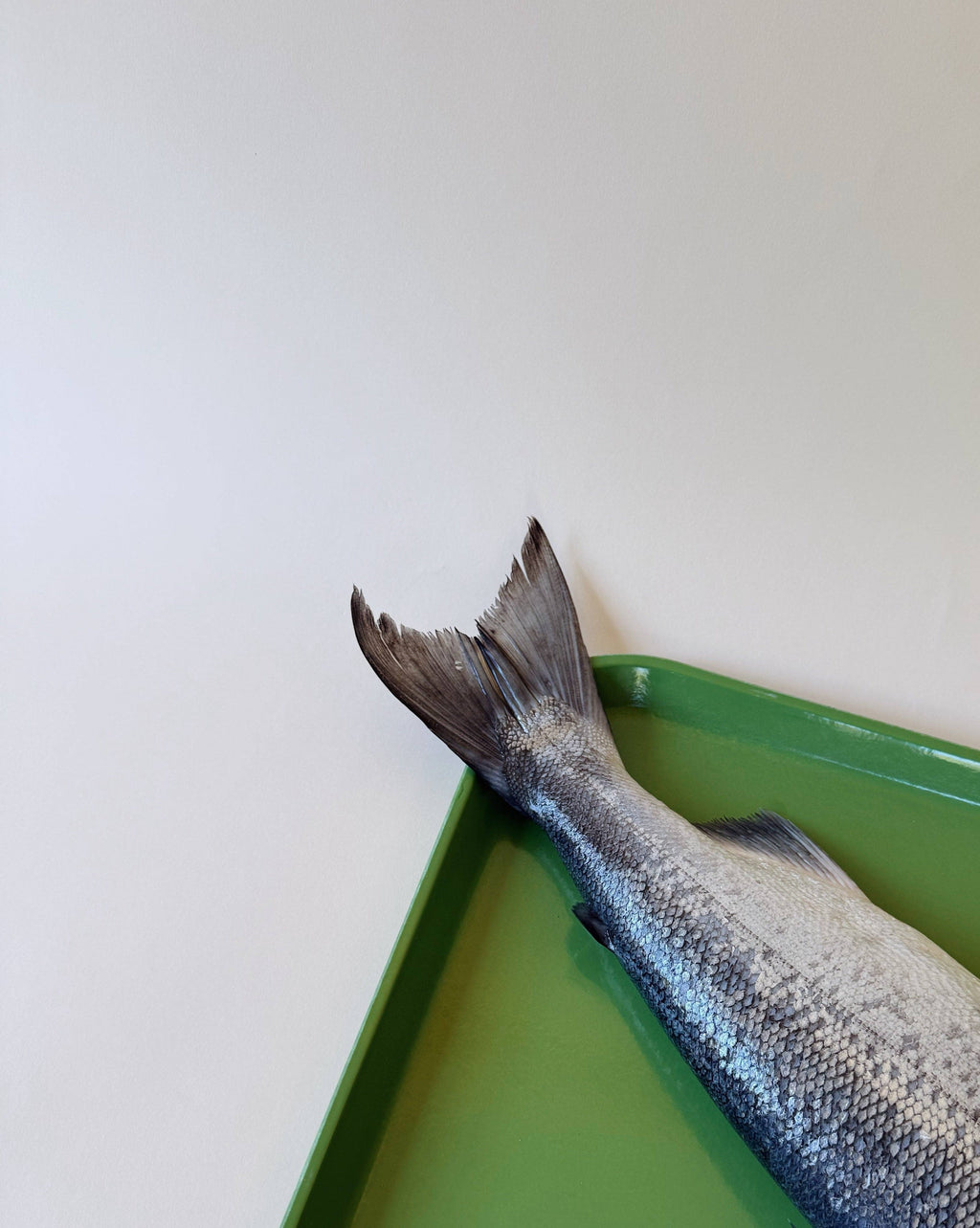 Amica Science Wild Salmon Tails