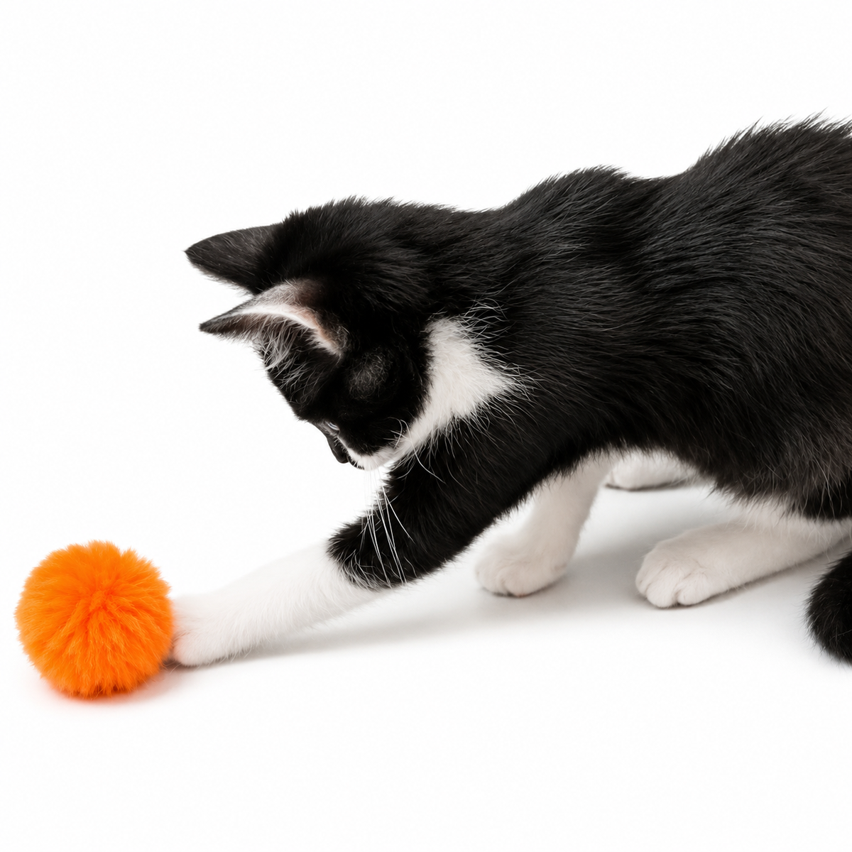 Koira Puffy Poof Cat Toy - Purple