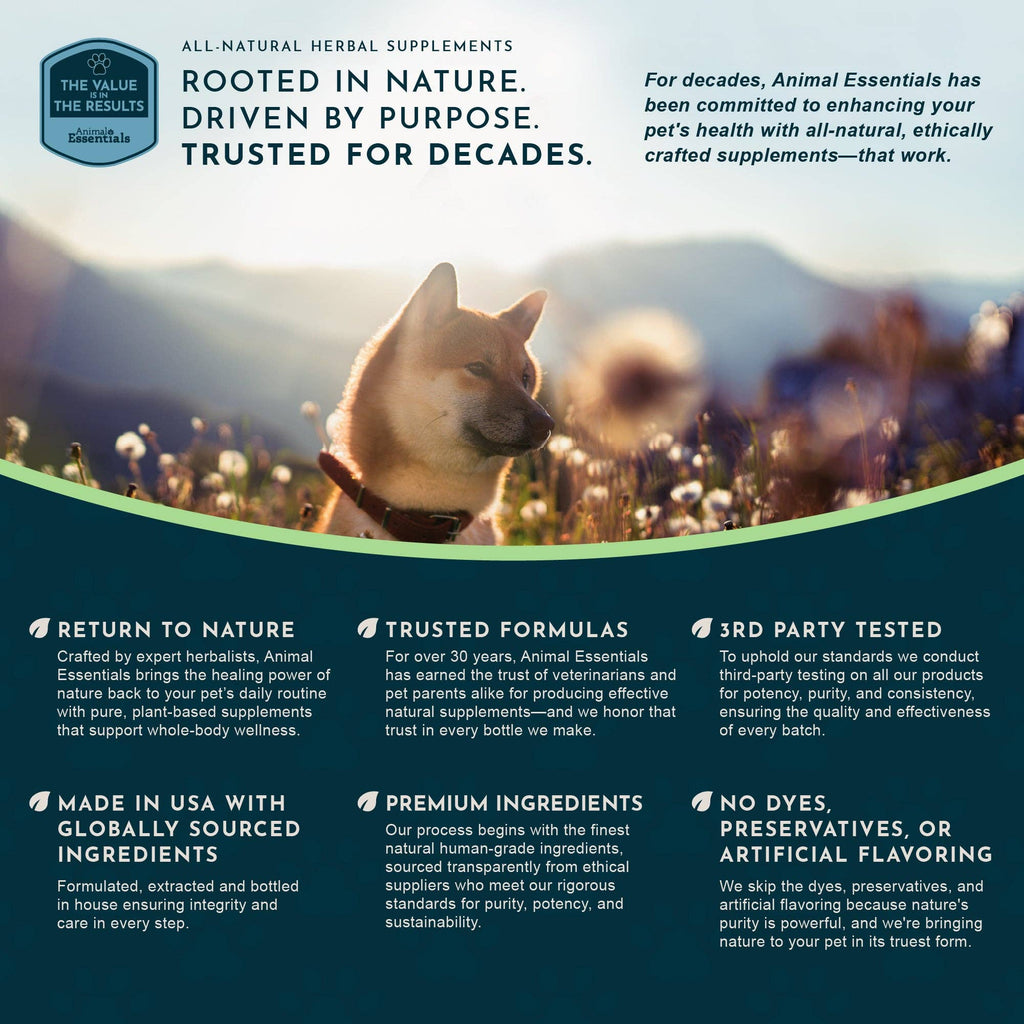 Slippery Elm Herbal Tonic | Supports Gut Health & Respiration