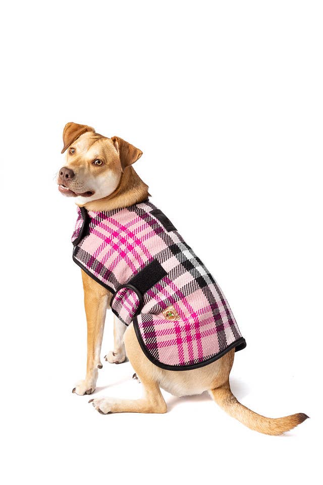 Chilly Dog Pink Plaid Blanket Dog Coat