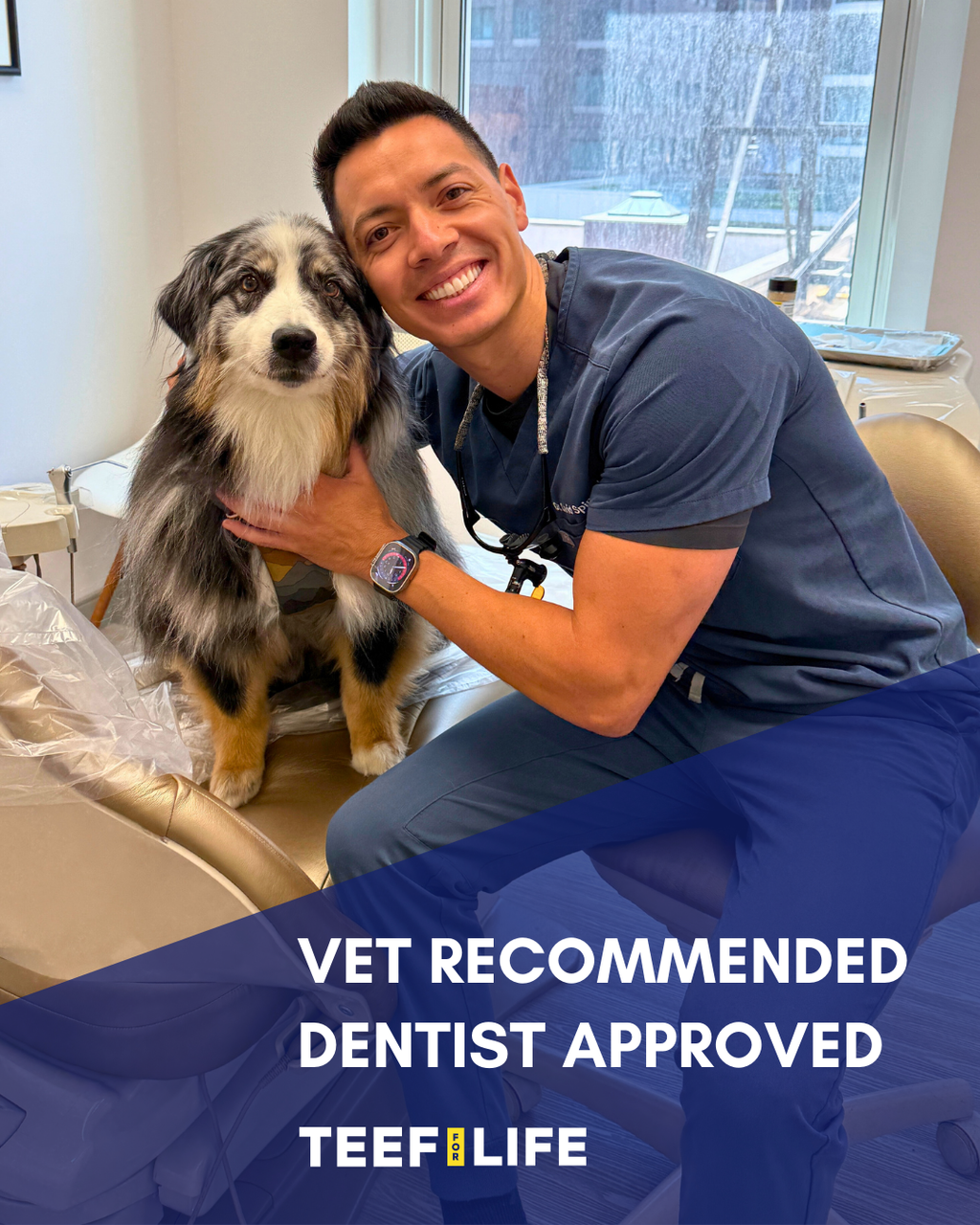 Protektin42K: Prebiotic Dental Powder for all pets